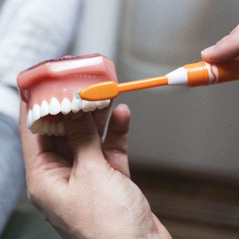 Toothbrushing demonstration using a dental model