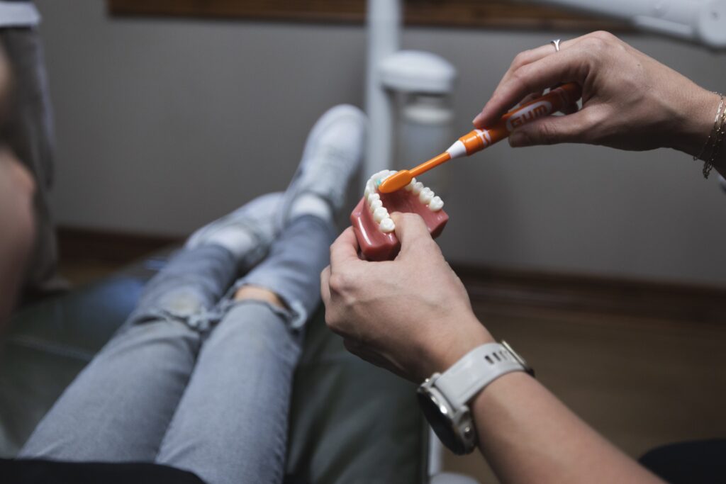 Toothbrush demonstrating proper cleaning technique on dental model