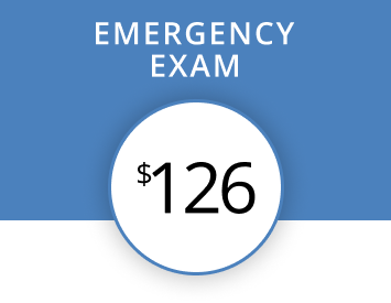 Emergency Exam $126